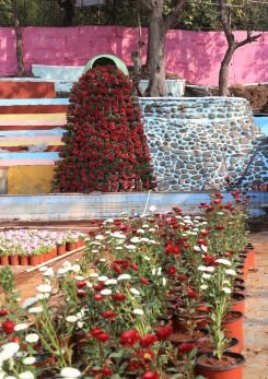 Contact Gokul's Flowers Park